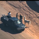 Illustration for article titled Loose Llama Lassoed From A Moving Pickup Truck, Already An Ad